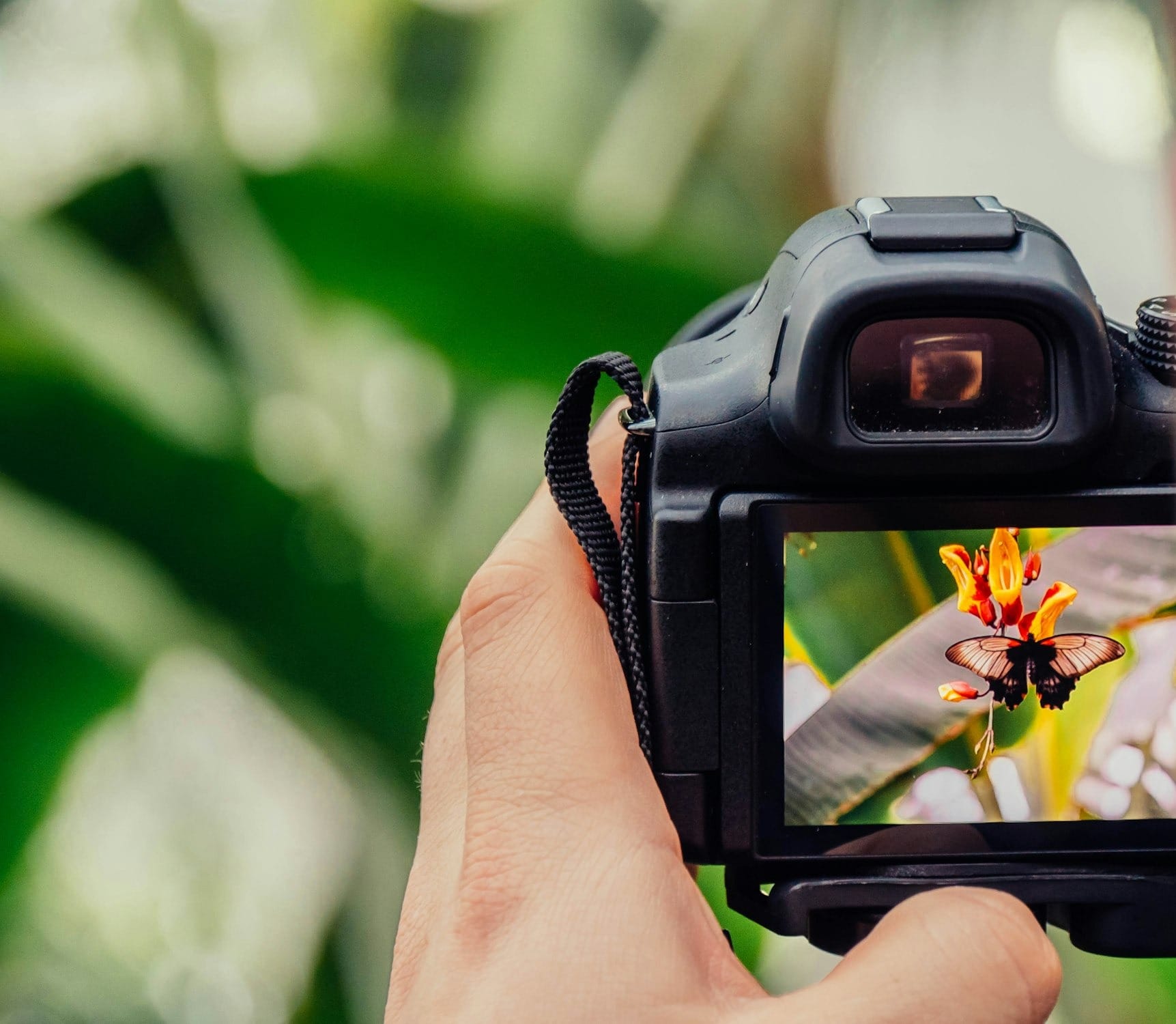 black digital camera capturing yellow flower